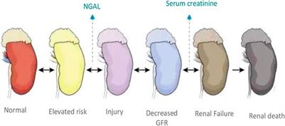 Effect of replacement therapy (CRRT) and hemodialysis (IHD) on severe acute renal failure